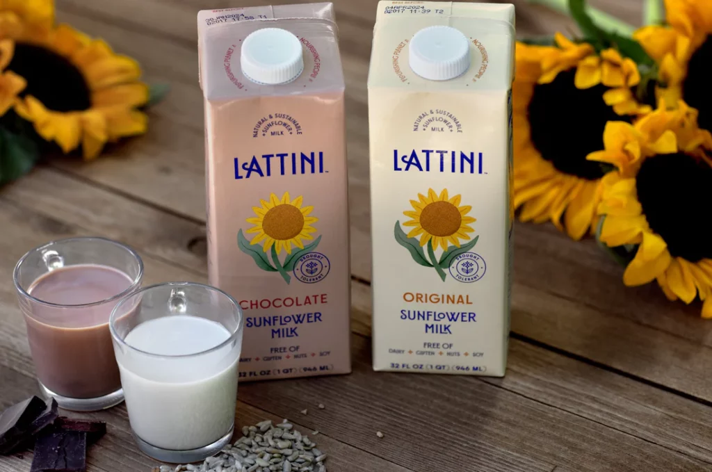 Lattini sunflower chocolate and original milk surrounded by sunflowers on table