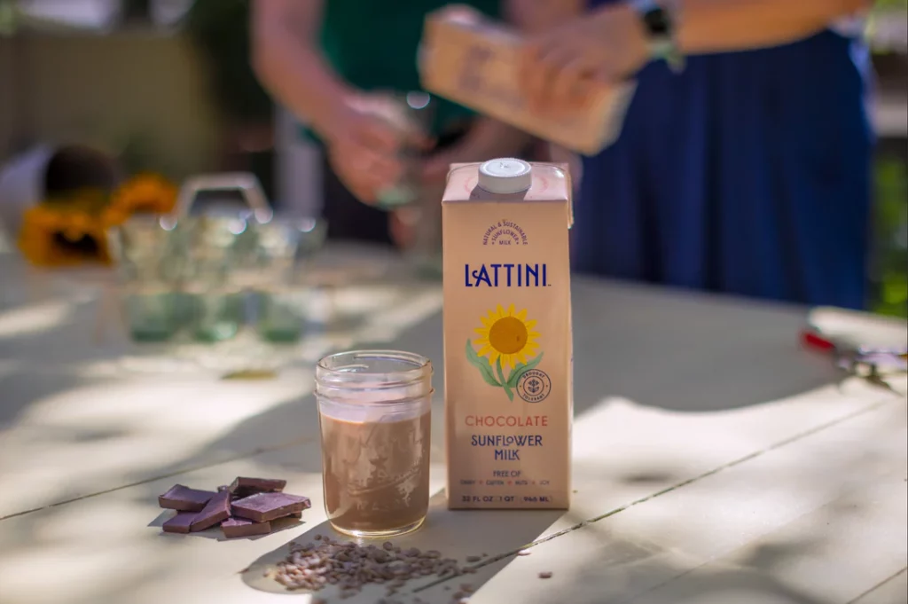 Lattini dairy free chocolate milk on table outside